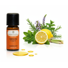 Ätherisches Öl von myAloe.ch: Energie Essenzmischung (enthält: Rosmarin, Pfefferminz, Zitrone, Lemongras)