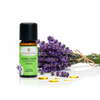Lavendelöl fein BIO 10ml - Frankreich AOP


Tauche ein in die Welt des echten Lavendels – mit Lavendelöl fein BIO aus Frankreich, dem Herzstück der aromatischen Entspannung.

Der Lavendelduft vom Lavendel fein französisch BIO weckt viele Erinnerungen. Ob violett farbige Felder in Südfrankreich, entspannende Massagemomente oder Wäscheschränke mit frisch gestärkter Wäsche. Mit dem Lavendel verbinden viele von uns ihre ganz persönliche Geschichte. Sein Name kommt vom lateinischen „lavanda“ was so viel wie „dem Waschen dienen“ bedeutet. Schon in der Antike wurden Bäder mit Lavendel beduftet oder mit Lavendel geräuchert, um den Körper und den Geist zu reinigen. 

Auch wurde und wird er gegen Ungezieferbefall eingesetzt. Der echte Lavendel ist ein Heilmittel mit einem grossen Anwendungsspektrum. Er sollte in keiner Haus- und Reiseapotheke fehlen. Ob Insektenstiche, Verbrennungen oder Prellungen, der echte Lavendel beruhigt und unterstützt die Heilung. Wie Lavandin wird auch der echte Lavendel in der Massage gegen Verspannungen und Schmerzen eingesetzt. Er wirkt direkt auf das zentrale und das vegetative Nervensystem. Bei Ängsten, innerer Unruhe und Schlafstörungen beruhigt er und stellt das innere Gleichgewicht wieder her.