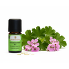 Rosengeranium BIO 5ml – Ausgleich & Pflege für Haut & Sinne


Aus der in Marokko heimischen Rosengeranie wird ein blumig-warmes Öl gewonnen. Die vielfältigen Eigenschaften vom Rosengeranium BIO machen es zu einem wichtigen Öl für die Hausapotheke. Es wirkt antibakteriell, antiviral, entzündungshemmend, Haut regenerierend, Nerven beruhigend und hormonell ausgleichend. Sein freundlicher Duft wirkt gegen Angstzustände und Niedergeschlagenheit. Bei Stimmungsschwankungen harmonisiert es und gleicht aus. Festsitzende Blockaden hilft es sanft zu lösen und so Raum für Neues zu schaffen.

✔️ Rosengeranium mischt sich gut mit Grapefruit, Tonka, Vetiver, Jasmin, Neroli, Zeder, Koriander und Weihrauch.

✔️ Mit Sesamöl, Linaloeholz und Majoran gemischt entsteht ein entspannendes und pflegendes Massageöl.