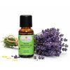 Wilder Berglavendel Bio 20ml - Entspannung & innere Balance


Der Wilde Berglavendel Bio ist eine wahre Kostbarkeit unter den Lavendelölen, ein wahrer Schatz der Natur. Im Gegensatz zu anderen Lavendelarten gedeiht der Berglavendel nicht in den Ebenen, sondern gedeiht prächtig in Höhenlagen über 1000 Metern.

Für das Wilder Berglavendel Bio werden speziell ausgewiesene Flächen in Handarbeit und nach den strengen Richtlinien der Bio-Qualität bewirtschaftet und geerntet. Jede Blüte wird sorgfältig von Hand gepflückt, um die Reinheit und Qualität des Öls zu gewährleisten.

Aus den zarten, kleinen Blütenrispen des Wilden Berglavendels wird ein äusserst kostbares und intensives Öl mittels Wasserdampfdestillation gewonnen. Dieser Prozess erfordert viel Geduld und Expertise, um das volle Potenzial der Pflanze zu extrahieren. Das Wirkungsspektrum und die Einsatzgebiete des Wilden Berglavendels entsprechen im Wesentlichen denen des echten Lavendels. Es wird für seine beruhigenden, entspannenden und heilenden Eigenschaften geschätzt. Sein Duft ist jedoch intensiver und herber, was ihn zu einer einzigartigen und unverwechselbaren Variante dieses beliebten ätherischen Öls macht.

Der Wilder Berglavendel Bio gehört zur Pflanzenfamilie der Lamiaceae, den Lippenblütengewächsen, und sein charakteristisches Aroma und seine vielfältigen Anwendungsmöglichkeiten machen ihn zu einem unverzichtbaren Bestandteil der Aromatherapie und Naturkosmetik.


✔️  Lavendel mischt sich gut mit Grapefruit, Bergamotte, Kamille, Palmarosa, Rosenholz und Linoleaholz

✔️  Bei Stress einfach in einen Riechstift träufeln, den Duft tief einatmen und entspannen.

✔️  Bei Unruhezuständen & Schlafstörungen mit Aprikosenkernöl, Rose und Melisse mischen und als Kompresse auf das Brustbein auflegen.