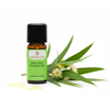 Eukalyptus Citriodora BIO 10ml – Erfrischendes Zitroneneukalyptusöl


Erlebe die sanfte Kraft des Zitroneneukalyptus!

Das Eukalyptus Citriodora BIO wird aus den Blättern der Eucalyptus citriodora gewonnen, die an der Ostküste Australiens gedeihen. Im Vergleich zu anderen Eukalyptusarten ist er milder und wird auch von Kindern gut vertragen. Wie alle Eukalyptusarten befreit er die Atemwege und lässt tief durchatmen. Sein erfrischendes Aroma mit zarter Zitrusnote schenkt neue Motivation, klärt den Geist und bringt mehr Leichtigkeit in den Alltag.

Mit seinem frischen Duft motiviert er und inspiriert bei Aussichtslosigkeit zu neuen Wegen zu finden. Er unterstützt unsere Lebensfreude und Kreativität.


Anwendungsempfehlungen

✔️  Für freie Atemwege: In der Duftlampe oder im Aromavernebler – ideal in Erkältungszeiten oder um die Luft zu erfrischen.

✔️  Frisches, zitroniges Duftprofil das belebt und motiviert - unterstützt freies Atmen und klärt die Raumluft

✔️  Im Auto: Gemeinsam mit Zitrone und Cajeput im Auto-Aromabedufter – sorgt für Konzentration und Frische auf langen Fahrten.

✔️  Harmonische Mischungen: Kombiniert sich wunderbar mit Rosengeranie, Tonka, Lavendel, Linaloeholz oder Schafgarbe.

✔️ Zu medizinischen und kosmetischen Einsatzmöglichkeiten geben Dir ausgebildete Fachkräfte gerne weitere Auskünfte.

✔️  Für Kinder: Mild & ideal für Kinder geeignet, in der Duftlampe mit Mandarine rot und Ravintsara – eine sanfte Mischung für kleine Schnupfennasen.