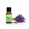 Lavendelöl fein BIO 10ml - Bulgarien


Tauche ein in die Welt des echten Lavendels – mit Lavendelöl fein BIO aus Bulgarien.

Der Lavendelduft vom Lavendel fein bulgarisch BIO weckt viele Erinnerungen. Ob violett farbige Felder, entspannende Massagemomente oder Wäscheschränke mit frisch gestärkter Wäsche. Mit dem Lavendel verbinden viele von uns ihre ganz persönliche Geschichte. Sein Name kommt vom lateinischen „lavanda“ was so viel wie „dem Waschen dienen“ bedeutet. Schon in der Antike wurden Bäder mit Lavendel beduftet oder mit Lavendel geräuchert, um den Körper und den Geist zu reinigen. 

Auch wurde und wird er gegen Ungezieferbefall eingesetzt. Der echte Lavendel ist ein Heilmittel mit einem grossen Anwendungsspektrum. Er sollte in keiner Haus- und Reiseapotheke fehlen. Ob Insektenstiche, Verbrennungen oder Prellungen, der echte Lavendel beruhigt und unterstützt die Heilung. Wie Lavandin wird auch der echte Lavendel in der Massage gegen Verspannungen und Schmerzen eingesetzt. Er wirkt direkt auf das zentrale und das vegetative Nervensystem. Bei Ängsten, innerer Unruhe und Schlafstörungen beruhigt er und stellt das innere Gleichgewicht wieder her.



✔️  Lavendel mischt sich gut mit Grapefruit, Bergamotte, Kamille, Palmarosa, Rosenholz und Linoleaholz.

✔️  Bei Stress einfach in einen Riechstift träufeln, den Duft tief einatmen und entspannen.

✔️  Bei Unruhezuständen und Schlafstörungen mit Aprikosenkernöl, Rose und Melisse mischen und als Kompresse auf das Brustbein auflegen.