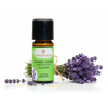 Lavendelöl fein BIO 20ml - Bulgarien


Tauche ein in die Welt des echten Lavendels – mit Lavendelöl fein BIO aus Bulgarien.

Der Lavendelduft vom Lavendel fein bulgarisch BIO weckt viele Erinnerungen. Ob violett farbige Felder, entspannende Massagemomente oder Wäscheschränke mit frisch gestärkter Wäsche. Mit dem Lavendel verbinden viele von uns ihre ganz persönliche Geschichte. Sein Name kommt vom lateinischen „lavanda“ was so viel wie „dem Waschen dienen“ bedeutet. Schon in der Antike wurden Bäder mit Lavendel beduftet oder mit Lavendel geräuchert, um den Körper und den Geist zu reinigen. 

Auch wurde und wird er gegen Ungezieferbefall eingesetzt. Der echte Lavendel ist ein Heilmittel mit einem grossen Anwendungsspektrum. Er sollte in keiner Haus- und Reiseapotheke fehlen. Ob Insektenstiche, Verbrennungen oder Prellungen, der echte Lavendel beruhigt und unterstützt die Heilung. Wie Lavandin wird auch der echte Lavendel in der Massage gegen Verspannungen und Schmerzen eingesetzt. Er wirkt direkt auf das zentrale und das vegetative Nervensystem. Bei Ängsten, innerer Unruhe und Schlafstörungen beruhigt er und stellt das innere Gleichgewicht wieder her.



✔️  Lavendel mischt sich gut mit Grapefruit, Bergamotte, Kamille, Palmarosa, Rosenholz und Linoleaholz.

✔️  Bei Stress einfach in einen Riechstift träufeln, den Duft tief einatmen und entspannen.

✔️  Bei Unruhezuständen und Schlafstörungen mit Aprikosenkernöl, Rose und Melisse mischen und als Kompresse auf das Brustbein auflegen.