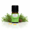 Kiefernadel BIO – Frische Klarheit & neue Energie aus dem Wald



Atme tief durch – mit der erfrischenden, belebenden Kraft der Kiefer.
Das ätherische Kiefernadelöl BIO von myAloe.ch bringt die reine Waldluft direkt in dein Zuhause. Es stärkt Körper und Geist, schenkt neue Energie und wirkt zugleich reinigend und schützend – ideal für die kalte Jahreszeit und Momente, in denen du neue Kraft schöpfen möchtest.

Bereits bei den Kelten galt die Kiefer als heiliger Baum der Wintersonnenwende – Symbol für Licht, Reinigung und Neubeginn. Ihr kräftiger, harziger Duft vermittelt Standhaftigkeit und Zuversicht – ein natürlicher Begleiter für Klarheit, tiefe Atmung und seelische Balance.

​

✅ 4 Schlüsselvorteile auf einen Blick
➕​ Natürliches Immunstärkung & Atemhilfe:
Antibakteriell, antiviral und schleimlösend – ideal bei Erkältungen und Atemwegsbeschwerden.

➕​ Reinigt & klärt die Raumluft:
Luftreinigende Wirkung – für ein frisches, gesundes Raumklima.

➕​ Belebend & erdend zugleich:
Fördert Konzentration, schenkt Energie und hilft, innere Ruhe zu finden.

➕​ 100 % naturrein & nachhaltig:
Aus kontrollierter Bio-Wildsammlung, vegan, tierversuchsfrei und in der Schweiz handabgefüllt.