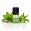 Menthe bergamote BIO - Harmonie, équilibre & paix intérieure de la nature


Un souffle de légèreté pour le corps et l'esprit
L'huile essentielle de menthe bergamote BIO (Mentha citrata) allie la fraîcheur de la menthe à la note fruitée et douce d'agrumes de la bergamote. Elle agit comme une douce brise d'été - apaisante, clarifiante et en même temps rafraîchissante pour l'esprit et les sens.

Avec son parfum harmonisant, elle apporte calme, sérénité et nouvelle énergie lorsque le stress ou l'agitation intérieure perturbent l'équilibre. C'est l'huile idéale pour tous ceux qui cherchent à se détendre sans se fatiguer - parfaite pour le yoga, la méditation ou une fin de journée tranquille.



✅ 4 avantages clés en un coup d'œil
Pureté naturelle à 100 % & certifiée BIO - issue de l'agriculture biologique contrôlée, mise en bouteille à la main en Suisse.
Adoucissant & stimulant de l'humeur - réduit le stress et améliore l'humeur.
Concentration & équilibre - idéal pour l'école, le travail ou les activités créatives.
Nourrissant & doux pour la peau - a un effet anti-inflammatoire, clarifiant et régénérant en cas de problèmes de peau.