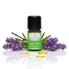 Lavande de Séville BIO 5ml - Énergie, clarté & équilibre d'Espagne


La lavande de Séville BIO - également connue sous le nom de Romero Santo ("romarin sacré") - est une espèce de lavande exceptionnelle qui revitalise le corps et l'esprit de manière unique. Son parfum est piquante-herbacée et fraîche, avec un soupçon de pouvoir curatif méditerranéen qui rappelle immédiatement le soleil, les herbes et la respiration libérée.

Contrairement à la lavande fine, douce et fleurie, la lavande de Séville déploie ses effets puissants grâce à sa forte teneur en monoterpénétone (environ 80 %) - ce qui en fait un compagnon puissant pendant la saison froide, notamment en cas de refroidissement, de toux et de mucosités incrustées

C'est une huile de clarté, d'ouverture intérieure et d'équilibre - pour tous ceux qui recherchent plus d'énergie et de légèreté au quotidien.

La lavande de Séville BIO est une huile pleine d'énergie qui libère le corps et l'âme - une huile puissante de plantes médicinales du sud qui t'aide à retrouver clarté, légèreté et équilibre intérieur.



✅ 4 avantages clés en un coup d'œil
Pureté naturelle à 100 % & certifiée BIO - cueillette sauvage contrôlée au Portugal & en Espagne, mise en bouteille à la main en Suisse.
Favorise une respiration libre - expectorant, ouvrant et libérant en cas de rhume, toux et bronchite.
Stimulant & équilibrant - renforce l'énergie vitale, a un effet activant sur le corps & l'esprit.
Polyvalent - idéal pour l'aromathérapie, le soin des plaies, les massages et la diffusion de parfums d'ambiance.