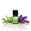 Vendel à piquer BIO


Rafraîchissement pour le corps, l'esprit & l'âme - à base d'huile essentielle BIO 100 % naturelle
Quand la lavande fine apporte le calme, la lavande aspic BIO est son frère vivifiant plein d'énergie.
Son parfum herbacé, puissant et frais, à forte teneur en camphre, provient des paysages ensoleillés d'Espagne et éveille les sens comme une brise d'air pur des montagnes.

Cette huile essentielle réunit la force purifiante, revitalisante et protectrice de la nature - idéale pour les moments où tu veux te recentrer, respirer profondément et retrouver ton énergie.

La lavande à piquer (Lavandula latifolia) appartient à la famille des lavandes, mais se distingue nettement par sa forte teneur en camphre Elle dégage ainsi un parfum marqué, frais et légèrement médicinal, qui est stimulant, libérateur et favorise la concentration
Alors que la lavande fine est synonyme de détente et de sommeil, la lavande aspic est le "réveil parmi les lavandes" - parfait en cas d'épuisement, de fatigue mentale ou de problèmes respiratoires.

Ses propriétés fortifiantes en font un compagnon puissant dans la pharmacie familiale - que ce soit pour soigner les voies respiratoires, pour régénérer la peau ou comme booster d'énergie en période de stress.