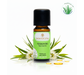 Teebaumöl BIO 10ml – Begleiter und Helfer für alle Fälle


Der Teebaum ist einer der heiligen Pflanzen der Aborigines. Dank seiner vielfältigen Heilwirkungen hat es einen hohen Bekanntheitsgrad in Europa erlangt. Mit seinen antiviralen, juckreizstillenden, antimykotischen und entzündungshemmenden Eigenschaften sollte es in keiner Reise- und Hausapotheke fehlen. Auf der emotionalen Ebene stärkt es und vermittelt Mut. Die Arbeit mit Teebaumöl stärkt das Nervensystem und bringt ins Gleichgewicht.

✔️ Teebaumöl mischt sich gut mit Lavendel, Angelikawurzel, Zeder, Grapefruit und Linaloeholz.
✔️ Für ein frisches und konzentrationsförderndes Arbeitsklima mit Zitrone und Bergamotte in den Aromavernebler geben.
✔️ Nach dem Öffnen innerhalb eines halben Jahres aufbrauchen!