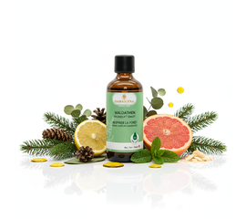 Smart Waldatmen Raumduft – 100 % naturreines Raumparfum für den SMART Aroma Diffuser


Ein Gefühl wie ein Waldspaziergang – Klarheit, Frische & neue Lebenskraft
Mit dem Smart Waldatmen Raumduft holst Du Dir die belebende Kraft des Waldes direkt nach Hause. Diese handabgefüllte Duftessenz aus der Schweiz enthält eine harmonische Komposition aus 100 % naturreinen ätherischen Ölen von Weisstanne, Fichtennadel, Eukalyptus, Kiefer, Grapefruit, Pfefferminze, Atlaszeder und Zitrone.

Frei von synthetischen Zusätzen, vegan und nachhaltig – für ein reines, gesundes Raumklima, das Körper, Geist und Seele in Einklang bringt. (Nur für den den Smart Aroma Diffuser! geeignet.)



✅ 4 Schlüsselvorteile auf einen Blick ¹⁾
✔️ 100 % naturrein & nachhaltig – ohne Chemie, handabgefüllt in der Schweiz

✔️ Kraft des Waldes erleben – beruhigend, erdend & erfrischend zugleich

✔️ Befreit die Atemwege – ideale Unterstützung bei Erkältungszeit oder schlechter Luft

✔️ Vielfältig einsetzbar – für Entspannung, Konzentration & Wohlfühlmomente