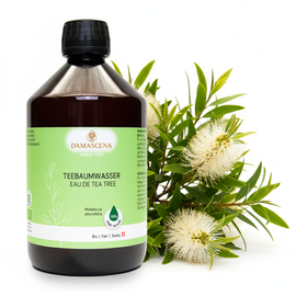 Pflanzenwasser von myAloe.ch: Teebaumwasser  - Krautig-frischer Duft mit reinigender,  klärender & schützender Wirkung