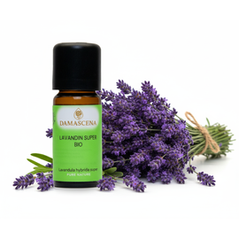 Lavandin super Bio 
Ein Duft, der an die sonnenwarmen Felder und die klare Kräuterluft der Provence erinnert.
Lavandin (Lavandula hybrida "Super") ist eine natürliche Kreuzung aus Echtem Lavendel (Lavandula angustifolia) und Speiklavendel (Lavandula latifolia) und gehört zur Familie der Lippenblütler. Er wurde um 1930 in der Provence zufällig entdeckt. Er wächst kräftiger und ertragreicher als sein zarter Verwandter und gedeiht besonders gut in den sonnigen, trockenen Lagen der Provence. Sein ätherisches Öl enthält mehr Kampfer als das des Echten Lavendels – das verleiht ihm einen krautigeren, klareren und deutlich aktivierenden Duftcharakter.
Früher legte man Lavandinbüschel zwischen die Wäsche, um sie vor Motten zu schützen und ihnen einen frischen, sauberen Duft zu verleihen. In ländlichen Regionen galt er als Kraut der Reinigung – für den Raum ebenso wie für den Geist.
Sein Duft steht für Aktivierung und Klarheit, für Tatkraft und geistige Frische. Lavandin erinnert uns daran, dass Reinheit nicht nur beruhigt, sondern auch aufweckt – ein Kraut, das antreibt, statt nur zu entspannen.
Er wirkt bei Muskelkrämpfen, Nervosität, als Zeckenschutz sowie bei Pilzerkrankungen und Dermatitis. Vorsicht bei Schwangeren und Kleinkindern.
Eigenschaften:
Körperlich: schmerzstillend, insektenabweisend
Psychisch: anregend, stärkend , bei Nervosität
