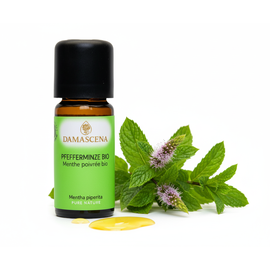 Pfefferminzöl BIO 10ml

Die europäische Minze ist wohl die bekannteste Vertreterin in der Familie der Minzen. Das ätherische Öl des Pfefferminze BIO wird für die Mundpflege und in der Lebensmittelindustrie eingesetzt. Auf der körperlichen Ebene wirkt die Pfefferminze verdauungsfördernd, entkrampfend, schmerzstillend und Immunsystem stärkend. Die Pfefferminze hilft bei drohender Ohnmacht und weckt die Lebensgeister. Hochschlagenden Emotionen kühlt sie ab und bringt Klarheit in verfahrene Situationen. Bei Konzentrationsstörungen und geistiger Überlastung bringt sie neue Energie.

✔️ Pfefferminze mischt sich gut mit Lavendel, Majoran, Rosmarin, Eukalyptus, Weisstanne und Benzoe.
✔️ Pfefferminzöl sollte nicht für ein Vollbad verwendet werden!
✔️ Nicht für Kinder unter sechs Jahren verwenden!
✔️ Zu medizinischen und kosmetischen Einsatzmöglichkeiten geben Ihnen ausgebildete Fachkräfte gerne weitere Auskünfte.