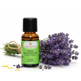 Wilder Berglavendel Bio 20ml - Entspannung & innere Balance


Der Wilde Berglavendel Bio ist eine wahre Kostbarkeit unter den Lavendelölen, ein wahrer Schatz der Natur. Im Gegensatz zu anderen Lavendelarten gedeiht der Berglavendel nicht in den Ebenen, sondern gedeiht prächtig in Höhenlagen über 1000 Metern.

Für das Wilder Berglavendel Bio werden speziell ausgewiesene Flächen in Handarbeit und nach den strengen Richtlinien der Bio-Qualität bewirtschaftet und geerntet. Jede Blüte wird sorgfältig von Hand gepflückt, um die Reinheit und Qualität des Öls zu gewährleisten.

Aus den zarten, kleinen Blütenrispen des Wilden Berglavendels wird ein äusserst kostbares und intensives Öl mittels Wasserdampfdestillation gewonnen. Dieser Prozess erfordert viel Geduld und Expertise, um das volle Potenzial der Pflanze zu extrahieren. Das Wirkungsspektrum und die Einsatzgebiete des Wilden Berglavendels entsprechen im Wesentlichen denen des echten Lavendels. Es wird für seine beruhigenden, entspannenden und heilenden Eigenschaften geschätzt. Sein Duft ist jedoch intensiver und herber, was ihn zu einer einzigartigen und unverwechselbaren Variante dieses beliebten ätherischen Öls macht.

Der Wilder Berglavendel Bio gehört zur Pflanzenfamilie der Lamiaceae, den Lippenblütengewächsen, und sein charakteristisches Aroma und seine vielfältigen Anwendungsmöglichkeiten machen ihn zu einem unverzichtbaren Bestandteil der Aromatherapie und Naturkosmetik.


✔️  Lavendel mischt sich gut mit Grapefruit, Bergamotte, Kamille, Palmarosa, Rosenholz und Linoleaholz

✔️  Bei Stress einfach in einen Riechstift träufeln, den Duft tief einatmen und entspannen.

✔️  Bei Unruhezuständen & Schlafstörungen mit Aprikosenkernöl, Rose und Melisse mischen und als Kompresse auf das Brustbein auflegen.
