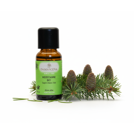 Weisstanne BIO (Schweiz) Ätherisches Öl 5 ml - Waldduft & Klarheit

Kraft der Schweizer Wälder – befreiend, stärkend, balsamisch

Die majestätische Weisstanne ist in Mitteleuropa heimisch. Ihr frischer und würziger Duft der Weisstanne spiegelt die Kraft und Klarheit des Waldes wider. Seine Heilwirkungen wurden schon zu Beginn unserer Zeitrechnung erwähnt. Das Öl der Weisstanne wird in der Aromatherapie gegen Erkältungskrankheiten und Beschwerden des Bewegungsapparates eingesetzt. In Saunamischungen wird ihr balsamisch-waldiger Duft geschätzt. Emotional vermittelt sie Stabilität und lässt das Herz weit werden. Sie ist ein Seelentröster und bringt Licht und Wärme in dunklen Zeiten. 

Das ätherische Öl der Weisstanne (Abies alba) stammt aus nachhaltiger Wildsammlung in den Schweizer Alpen und überzeugt durch seinen frischen, harzig-balsamischen Duft. Dieses hochwertige BIO-Öl wirkt stärkend auf Körper und Geist und vermittelt das Gefühl eines Spaziergangs durch einen klaren Bergwald. Es ist besonders beliebt in der Winterzeit, zur Raumluftverbesserung und zur Unterstützung der Atemwege.

Vorteile & Eigenschaften

100% naturreines, biologisches ätherisches Öl aus Schweizer Herkunft
Frischer, waldiger Duft mit klärender Wirkung
Unterstützt die freie Atmung, besonders in der Erkältungszeit
Wohltuend bei Erschöpfung, Stress oder geistiger Müdigkeit
Ideal für Aromatherapie, Sauna, Duftlampe oder Massage
Antiseptisch, entzündungshemmend, durchblutungsfördernd