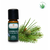 Ätherisches Öl von myAloe.ch: Alpenwald Essenzmischung  (enthält: Weisstanne ,  Arve , Fichtennadel, Kiefernadel  )