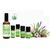 MyAloe.ch - Mückenspray selber machen Set - Natürlich wirksam. Hautfreundlich. Sonnenverträglich.