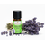 Lavendelöl fein BIO 10ml - Frankreich AOP


Tauche ein in die Welt des echten Lavendels – mit Lavendelöl fein BIO aus Frankreich, dem Herzstück der aromatischen Entspannung.

Der Lavendelduft vom Lavendel fein französisch BIO weckt viele Erinnerungen. Ob violett farbige Felder in Südfrankreich, entspannende Massagemomente oder Wäscheschränke mit frisch gestärkter Wäsche. Mit dem Lavendel verbinden viele von uns ihre ganz persönliche Geschichte. Sein Name kommt vom lateinischen „lavanda“ was so viel wie „dem Waschen dienen“ bedeutet. Schon in der Antike wurden Bäder mit Lavendel beduftet oder mit Lavendel geräuchert, um den Körper und den Geist zu reinigen. 

Auch wurde und wird er gegen Ungezieferbefall eingesetzt. Der echte Lavendel ist ein Heilmittel mit einem grossen Anwendungsspektrum. Er sollte in keiner Haus- und Reiseapotheke fehlen. Ob Insektenstiche, Verbrennungen oder Prellungen, der echte Lavendel beruhigt und unterstützt die Heilung. Wie Lavandin wird auch der echte Lavendel in der Massage gegen Verspannungen und Schmerzen eingesetzt. Er wirkt direkt auf das zentrale und das vegetative Nervensystem. Bei Ängsten, innerer Unruhe und Schlafstörungen beruhigt er und stellt das innere Gleichgewicht wieder her.