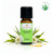 Teebaumöl BIO 10ml – Begleiter und Helfer für alle Fälle


Der Teebaum ist einer der heiligen Pflanzen der Aborigines. Dank seiner vielfältigen Heilwirkungen hat es einen hohen Bekanntheitsgrad in Europa erlangt. Mit seinen antiviralen, juckreizstillenden, antimykotischen und entzündungshemmenden Eigenschaften sollte es in keiner Reise- und Hausapotheke fehlen. Auf der emotionalen Ebene stärkt es und vermittelt Mut. Die Arbeit mit Teebaumöl stärkt das Nervensystem und bringt ins Gleichgewicht.

✔️ Teebaumöl mischt sich gut mit Lavendel, Angelikawurzel, Zeder, Grapefruit und Linaloeholz.
✔️ Für ein frisches und konzentrationsförderndes Arbeitsklima mit Zitrone und Bergamotte in den Aromavernebler geben.
✔️ Nach dem Öffnen innerhalb eines halben Jahres aufbrauchen!