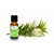 Teebaumöl BIO 20ml – Begleiter und Helfer für alle Fälle


Der Teebaum ist einer der heiligen Pflanzen der Aborigines. Dank seiner vielfältigen Heilwirkungen hat es einen hohen Bekanntheitsgrad in Europa erlangt. Mit seinen antiviralen, juckreizstillenden, antimykotischen und entzündungshemmenden Eigenschaften sollte es in keiner Reise- und Hausapotheke fehlen. Auf der emotionalen Ebene stärkt es und vermittelt Mut. Die Arbeit mit Teebaumöl stärkt das Nervensystem und bringt ins Gleichgewicht.

✔️ Teebaumöl mischt sich gut mit Lavendel, Angelikawurzel, Zeder, Grapefruit und Linaloeholz.
✔️ Für ein frisches und konzentrationsförderndes Arbeitsklima mit Zitrone und Bergamotte in den Aromavernebler geben.
✔️ Nach dem Öffnen innerhalb eines halben Jahres aufbrauchen!
✔️ Zu medizinischen und kosmetischen Einsatzmöglichkeiten geben Ihnen ausgebildete Fachkräfte gerne weitere Auskünfte.
