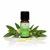 Eucalyptus Globulus BIO - Liberatorio. Rivitalizzante. Chiaro

Respira profondamente - con la potente freschezza dell'eucalipto!

L'olio essenziale di Eucalyptus Globulus BIO di myAloe.ch è un classico tra gli oli naturali quando si tratta di respirare liberamente, di vitalità e di forza mentale. La sua fragranza chiara, simile alla canfora, purifica l'aria, rivitalizza i sensi e fornisce nuova energia - ideale per la stanchezza, l'affaticamento mentale o durante i raffreddori.

Eucalyptus Globulus BIO combina freschezza e purezza in modo unico. La sua fragranza ricorda l'aria limpida di montagna e aiuta a respirare profondamente, con particolare beneficio in caso di problemi respiratori o di esaurimento. Libera la mente, favorisce la concentrazione e rafforza la resistenza: perfetto per le lunghe giornate di lavoro o per sostenere la fase di apprendimento. L'eucalipto è stato apprezzato per secoli anche in naturopatia, come un compagno purificante, protettivo e rivitalizzante.