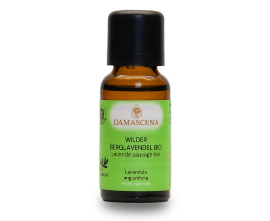 Wilder Berglavendel Bio 20ml - Entspannung & innere Balance


Der Wilde Berglavendel Bio ist eine wahre Kostbarkeit unter den Lavendelölen, ein wahrer Schatz der Natur. Im Gegensatz zu anderen Lavendelarten gedeiht der Berglavendel nicht in den Ebenen, sondern gedeiht prächtig in Höhenlagen über 1000 Metern.

Für das Wilder Berglavendel Bio werden speziell ausgewiesene Flächen in Handarbeit und nach den strengen Richtlinien der Bio-Qualität bewirtschaftet und geerntet. Jede Blüte wird sorgfältig von Hand gepflückt, um die Reinheit und Qualität des Öls zu gewährleisten.

Aus den zarten, kleinen Blütenrispen des Wilden Berglavendels wird ein äusserst kostbares und intensives Öl mittels Wasserdampfdestillation gewonnen. Dieser Prozess erfordert viel Geduld und Expertise, um das volle Potenzial der Pflanze zu extrahieren. Das Wirkungsspektrum und die Einsatzgebiete des Wilden Berglavendels entsprechen im Wesentlichen denen des echten Lavendels. Es wird für seine beruhigenden, entspannenden und heilenden Eigenschaften geschätzt. Sein Duft ist jedoch intensiver und herber, was ihn zu einer einzigartigen und unverwechselbaren Variante dieses beliebten ätherischen Öls macht.

Der Wilder Berglavendel Bio gehört zur Pflanzenfamilie der Lamiaceae, den Lippenblütengewächsen, und sein charakteristisches Aroma und seine vielfältigen Anwendungsmöglichkeiten machen ihn zu einem unverzichtbaren Bestandteil der Aromatherapie und Naturkosmetik.


✔️  Lavendel mischt sich gut mit Grapefruit, Bergamotte, Kamille, Palmarosa, Rosenholz und Linoleaholz

✔️  Bei Stress einfach in einen Riechstift träufeln, den Duft tief einatmen und entspannen.

✔️  Bei Unruhezuständen & Schlafstörungen mit Aprikosenkernöl, Rose und Melisse mischen und als Kompresse auf das Brustbein auflegen.