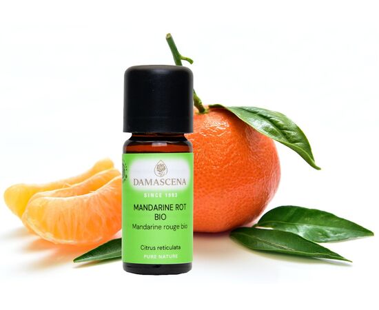 Mandarine rot BIO - Stimmungsaufhellend & entspannend


Die Mandarine rot ist ein klassisches Kinderöl. Aber auch Erwachsene erfreuen sich an seinem süssen Duft. Seine verdauungsanregenden und verdauungsfördernden Eigenschaften werden für entspannende Bauchmassagen und Wickel genutzt. Mit seiner entzündungshemmenden und schleimlösenden Wirkung ist die Mandarine rot BIO ein regulierendes Öl in Erkältungsmischungen. Sein harmonisierender Duft entspannt und macht gute Laune. Es beruhigt gereizte Nerven, umhüllt und hilft als „Kuschelöl“ beim Einschlafen.

Mandarine rot - die heitere Kraft
Unser Hirn erinnert sich vermutlich gleich bei der Erwähnung der Mandarine, an ihren Duft. Es ist ein ganz typischer, weicher und fruchtiger Duft und wir bringen ihn oft mit dem Samichlaus oder dem Winter in Verbindung. Bei uns ist es auch eine Herbst- Winterfrucht, dann bekommen wir sie nämlich in den Läden.

Oder ist es Dir nicht auch schon passiert das Dir beim Schälen ein Spritzer Öl ins Auge gelangt ist?

Das ätherische Öl befindet sich in der Schale und wird mittels schonender Kaltpressung gewonnen. Somit werden die wertvollen Inhaltsstoffe vollständig erhalten, was auch unsere hochwertige Qualität erklärt. Das Mandarine rot Öl BIO stammt aus dem sonnenverwöhnten Italien. Es speichert die heitere Kraft der Sonne in sich, diese stimuliert unser Gemüt und sorgt für mehr Gelassenheit und kann uns aus einem Stimmungstief holen

✔️ Mandarine rot mischt sich gut mit Kamille, Linaloeholz, Benzoe, Zeder und Zimtrinde.
✔️ Für ein entspannendes Fussbad am Abend mit Sandelholz, Neroli und Cocos-Schaumbad-Basis mischen.
✔️ Mandarinenöl erhöht die Lichtempfindlichkeit der Haut.
✔️ Nach der Anwendung von Mandarinenöl sollte die Haut nicht direkt der Sonne ausgesetzt werden!