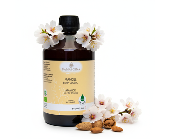 Mandelöl BIO – Sanfte Pflege für Haut & Haare | 100% naturrein


Nährendes und glättendes Öl für die sanfte Hautpflege
Unser kaltgepresstes Mandelöl BIO wird aus kontrolliert biologischen Mandeln gewonnen und ist ein echtes Multitalent für die tägliche Körperpflege. Es überzeugt durch seine milde, reizlindernde Wirkung und eignet sich ideal für empfindliche, trockene oder gereizte Haut – auch bei Babys. Die hohe Verträglichkeit und die wertvollen Inhaltsstoffe wie Vitamin E, ungesättigte Fettsäuren und Mineralstoffe machen es zu einem unverzichtbaren Helfer in der Naturkosmetik.

Das hellgelbe Öl mit leichtem Mandelduft zieht gut ein und wird auch gerne für die Babymassage verwendet. Das Mandelöl BIO ist eines der bekanntesten Öle für die Gesichts- und Körperpflege. Es wirkt nährend, glättend und zieht gut in die Haut ein