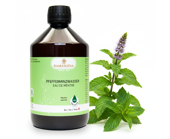 Pflanzenwasser von myAloe.ch: Pfefferminzwasser  - Frisch, klar, kühl, leicht krautig, mit feiner minziger Note