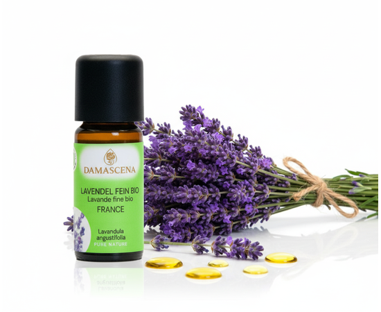 Lavendelöl fein BIO 10ml - Frankreich AOP


Tauche ein in die Welt des echten Lavendels – mit Lavendelöl fein BIO aus Frankreich, dem Herzstück der aromatischen Entspannung.

Der Lavendelduft vom Lavendel fein französisch BIO weckt viele Erinnerungen. Ob violett farbige Felder in Südfrankreich, entspannende Massagemomente oder Wäscheschränke mit frisch gestärkter Wäsche. Mit dem Lavendel verbinden viele von uns ihre ganz persönliche Geschichte. Sein Name kommt vom lateinischen „lavanda“ was so viel wie „dem Waschen dienen“ bedeutet. Schon in der Antike wurden Bäder mit Lavendel beduftet oder mit Lavendel geräuchert, um den Körper und den Geist zu reinigen. 

Auch wurde und wird er gegen Ungezieferbefall eingesetzt. Der echte Lavendel ist ein Heilmittel mit einem grossen Anwendungsspektrum. Er sollte in keiner Haus- und Reiseapotheke fehlen. Ob Insektenstiche, Verbrennungen oder Prellungen, der echte Lavendel beruhigt und unterstützt die Heilung. Wie Lavandin wird auch der echte Lavendel in der Massage gegen Verspannungen und Schmerzen eingesetzt. Er wirkt direkt auf das zentrale und das vegetative Nervensystem. Bei Ängsten, innerer Unruhe und Schlafstörungen beruhigt er und stellt das innere Gleichgewicht wieder her.
