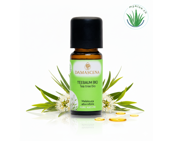 Teebaumöl BIO 10ml – Begleiter und Helfer für alle Fälle


Der Teebaum ist einer der heiligen Pflanzen der Aborigines. Dank seiner vielfältigen Heilwirkungen hat es einen hohen Bekanntheitsgrad in Europa erlangt. Mit seinen antiviralen, juckreizstillenden, antimykotischen und entzündungshemmenden Eigenschaften sollte es in keiner Reise- und Hausapotheke fehlen. Auf der emotionalen Ebene stärkt es und vermittelt Mut. Die Arbeit mit Teebaumöl stärkt das Nervensystem und bringt ins Gleichgewicht.

✔️ Teebaumöl mischt sich gut mit Lavendel, Angelikawurzel, Zeder, Grapefruit und Linaloeholz.
✔️ Für ein frisches und konzentrationsförderndes Arbeitsklima mit Zitrone und Bergamotte in den Aromavernebler geben.
✔️ Nach dem Öffnen innerhalb eines halben Jahres aufbrauchen!
