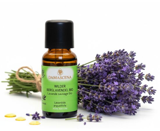 Wilder Berglavendel Bio 20ml - Entspannung & innere Balance


Der Wilde Berglavendel Bio ist eine wahre Kostbarkeit unter den Lavendelölen, ein wahrer Schatz der Natur. Im Gegensatz zu anderen Lavendelarten gedeiht der Berglavendel nicht in den Ebenen, sondern gedeiht prächtig in Höhenlagen über 1000 Metern.

Für das Wilder Berglavendel Bio werden speziell ausgewiesene Flächen in Handarbeit und nach den strengen Richtlinien der Bio-Qualität bewirtschaftet und geerntet. Jede Blüte wird sorgfältig von Hand gepflückt, um die Reinheit und Qualität des Öls zu gewährleisten.

Aus den zarten, kleinen Blütenrispen des Wilden Berglavendels wird ein äusserst kostbares und intensives Öl mittels Wasserdampfdestillation gewonnen. Dieser Prozess erfordert viel Geduld und Expertise, um das volle Potenzial der Pflanze zu extrahieren. Das Wirkungsspektrum und die Einsatzgebiete des Wilden Berglavendels entsprechen im Wesentlichen denen des echten Lavendels. Es wird für seine beruhigenden, entspannenden und heilenden Eigenschaften geschätzt. Sein Duft ist jedoch intensiver und herber, was ihn zu einer einzigartigen und unverwechselbaren Variante dieses beliebten ätherischen Öls macht.

Der Wilder Berglavendel Bio gehört zur Pflanzenfamilie der Lamiaceae, den Lippenblütengewächsen, und sein charakteristisches Aroma und seine vielfältigen Anwendungsmöglichkeiten machen ihn zu einem unverzichtbaren Bestandteil der Aromatherapie und Naturkosmetik.


✔️  Lavendel mischt sich gut mit Grapefruit, Bergamotte, Kamille, Palmarosa, Rosenholz und Linoleaholz

✔️  Bei Stress einfach in einen Riechstift träufeln, den Duft tief einatmen und entspannen.

✔️  Bei Unruhezuständen & Schlafstörungen mit Aprikosenkernöl, Rose und Melisse mischen und als Kompresse auf das Brustbein auflegen.