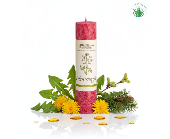 MyAloe.ch - Die Allgäuer Heilkräuterkerze "Lebensenergie" ist eine handgefertigte Kerze aus dem Allgäu, die mit pflanzlichem Stearin gegossen wird und die Unterstützung von Heilkräutern wie Löwenzahn, Birke und Kiefer bietet. Sie soll Vitalität und Standhaftigkeit fördern, indem sie beim Abbrennen die Schwingungen und Informationen der Kräuter freisetzt, ähnlich einer feinen Räucherung. Die Kerze ist vegan und wird in einer Manufaktur im Allgäu hergestellt. 

Inhaltsstoffe und Wirkung

Pflanzliche Inhaltsstoffe: 
Die Kerze besteht aus rein pflanzlichem Stearin und enthält eine Mischung aus Heilkräutern, Harzen und ätherischen Ölen, die auf das Lebensthema "Lebensenergie" abgestimmt sind. 

Kräuter: 
Konkret sind Löwenzahn, Birke und Kiefer enthalten, die für Vitalität und Standhaftigkeit stehen. 

Wirkweise: 
Durch das Abbrennen werden die Schwingungen und Informationen der Kräuter freigesetzt und unterstützen die eigenen geistigen Intentionen des Menschen, ähnlich einer feinen Räucherung. 

Philosophie: 
Die Serie der Heilkräuterkerzen soll den Menschen in verschiedenen Lebenssituationen unterstützen und ihnen helfen, ihre Bedürfnisse und Wünsche zu reflektieren.