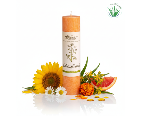 MyAloe.ch - Die Allgäuer Heilkräuterkerze "Lebensfreude" ist eine handgefertigte, vegane Naturkerze, die aus pflanzlichem Stearin gegossen wird. Sie enthält Heilpflanzen wie Sonnenblume, Gänseblümchen, Ringelblume und Johanniskraut sowie ätherische Öle, unter anderem von Grapefruit, um Melancholie zu vertreiben und Freude und Lebendigkeit zu schenken. Ihr Anblick und ihr Duft sollen das Wohlbefinden fördern und eine sonnige Botschaft der Heiterkeit und Frische vermitteln. 

Inhaltsstoffe und ihre Wirkung

Sonnenblume, Gänseblümchen, Ringelblume, Johanniskraut: Diese Pflanzen sind für ihre sonnige, aufmunternde Wirkung bekannt und sollen gegen Melancholie helfen. 

Ätherische Öle (u.a. Grapefruit): Sie verleihen der Kerze Frische und Lebendigkeit und unterstützen den positiven Effekt der Heilkräuter. 

Symbolische Bedeutung: Die Kerze ist nicht nur ein Duft- und Lichtspender, sondern auch ein Symbol für Lebensfreude und positive Energie.
