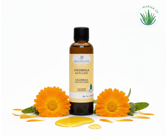 Calendulaöl BIO – Sanfte Pflege aus der Kraft der Ringelblume


Das Calendulaöl BIO (BOCAL75) ist ein hochwertiger, 100 % naturreiner Ölauszug aus Ringelblumenblüten in kaltgepresstem Bio-Olivenöl. Diese traditionelle Herstellung – auch „Mazeration“ genannt – garantiert, dass die hautberuhigenden Wirkstoffe der Calendula besonders schonend und wirksam in das pflegende Olivenöl übergehen.

Calendulaöl BIO ist seit langem als wirkungsvolles Hausmittel bekannt. Es macht die Haut widerstandsfähig und wirkt lindernd und entspannend. Ideal auch zur Anwendung nach dem Sonnenbad oder für die sanfte Pflege von Baby- und Kinderhaut.

Ob bei sensibler Babyhaut, rauen Händen, kleinen Hautverletzungen oder nach dem Sonnenbad: Dieses besonders milde Öl beruhigt gereizte Haut, unterstützt die Regeneration und stärkt die natürliche Hautbarriere – sanft, effektiv und ohne künstliche Zusätze.



✔️ Entspannendes und linderndes Öl für die milde Pflege der Haut

✔️ Entzündungshemmend & regenerierend – beruhigt empfindliche, gereizte oder trockene Haut

✔️ Rein pflanzlich & besonders hautverträglich – ideal für Babys, Kinder & sensible Erwachsenenhaut

✔️ Natürlich pflegend & feuchtigkeitsspendend – stärkt die Hautbarriere und schützt vor Umwelteinflüssen

✔️ Hauttyp: Für alle Hauttypen geeignet. Besonders für empfindliche, sowie Baby- & Kinderhaut.

✔️ Frei von Zusätzen – ohne Duftstoffe, Konservierungsmittel oder synthetische Inhaltsstoffe