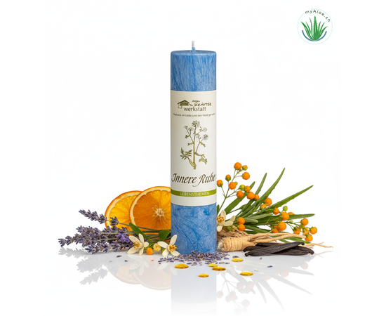 MyAloe.ch

Die "Allgäuer Heilkräuterkerze Innere Ruhe" ist eine handgefertigte, naturreine Kerze, die Baldrian, Bitterorange, Tonka und Lavendel enthält, um Stress abzubauen und Gelassenheit zu fördern. Ihre Wirkung basiert auf der Freisetzung der Informationen und Schwingungen der Kräuterauszüge und ätherischen Öle durch das Feuer, was eine beruhigende Atmosphäre für Meditation, Gebet oder Entspannung schafft. 

✨ Anwendungszwecke und Wirkung

✔️ Baldrian: Schirmt ab gegen äußere Reize und unterstützt bei Stress und geistiger Überforderung.
✔️ Bitterorange: Unterstützt die beruhigende Wirkung der Kerze.
✔️ Tonka und Lavendel: Ätherische Öle, die die Botschaft und Wirkung der Kerze unterstützen.

✨ Anwendung und Zweck
✔️ Entspannung: 
Die Kerze soll helfen, sich zurückzulehnen, zu entspannen und innere Ruhe einkehren zu lassen. 

✔️ Meditation und Stille: 
Das Licht und die Atmosphäre der Kerze eignen sich als Begleitung in der Meditation und um in die Stille zu kommen. 

✔️ Seelisches Wohlbefinden: 
Sie unterstützt die Harmonisierung von Körper, Geist und Seele. 

✨ Wirkungsweise: 
Die Informationen der Kräuter und Öle werden durch das Feuer transformiert und freigesetzt, ähnlich einer feinen Räucherung.