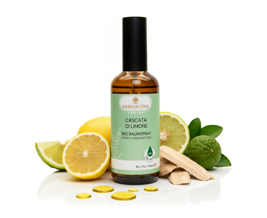 Cascata di Limone Raumspray - Sonnige Frische & neue Energie


Das Cascata di Limone Raumspray bringt die strahlende Leichtigkeit des Sommers direkt in Dein Zuhause. Mit seiner spritzigen Komposition aus Zitrone, Grapefruit, Bergamotte und Linaloeholz wirkt es erfrischend, klärend und belebend. Ein idealer Begleiter, wenn Du Frische, Konzentration und eine sonnige Atmosphäre in Deinen Alltag bringen möchtest – ob zu Hause, im Büro oder in öffentlichen Räumen.

Dieses 100 % naturreine Raumspray wird in der Schweiz liebevoll von Hand abgefüllt und enthält keinerlei synthetische Zusätze.



✅ 4 Schlüsselvorteile auf einen Blick
✔️ Erfrischend & belebend – ideal für Konzentration, Energie & gute Laune
✔️ Natürlich & BIO – 100 % naturreine ätherische Öle, vegan & tierversuchsfrei
✔️ Vielseitig einsetzbar – für Wohnräume, Arbeitsumgebungen, SPA & Therapieräume
✔️ Handabgefüllt in der Schweiz – nachhaltige Herstellung & höchste Qualität
