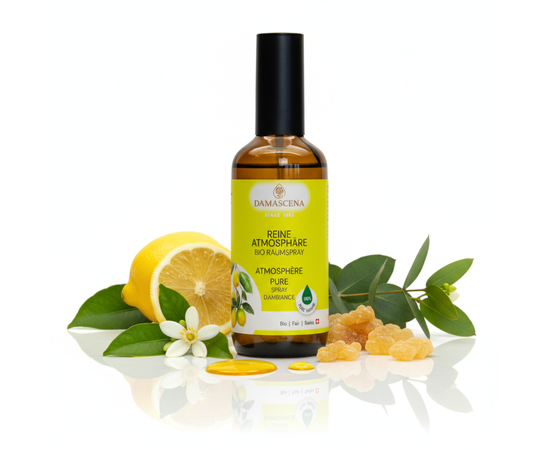 Reine Atmosphäre Raumspray BIO – Klarheit & Frische für Körper, Geist und Raum


Natürlich. Klärend. Belebend.
Der Reine Atmosphäre Raumspray BIO von myAloe.ch bringt Frische und Harmonie in jeden Raum. Mit der reinen Kraft ätherischer Bio-Öle von Zitrone, Eukalyptus, Neroli, Weihrauch und weiteren Essenzen sorgt er für ein wohltuendes Raumklima – ob zu Hause, im Büro, im SPA-Bereich oder in Praxen. 100% naturrein, ohne synthetische Zusätze, vegan und nachhaltig handabgefüllt in der Schweiz.

Ideal, um Räume zu klären, Energien zu reinigen und gleichzeitig eine erfrischend-belebende Atmosphäre zu schaffen.



✨ Schlüsselvorteile ¹⁾
✅ Klärend & reinigend – neutralisiert unangenehme Gerüche und schafft eine frische Umgebung

✅ Belebt die Sinne – fördert Konzentration, Motivation und gute Laune

✅ Natürlich & rein – ohne synthetische Zusätze, vegan & handabgefüllt in der Schweiz

✅ Vielseitig einsetzbar – perfekt für Zuhause, Wellness, Hotels, Praxen oder Seminarräume
