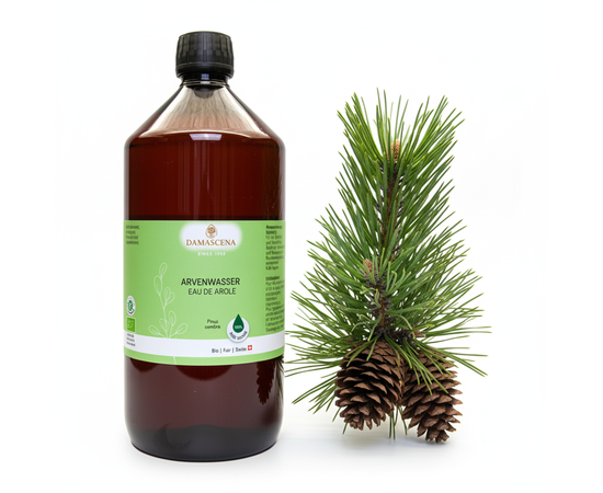 Arvenwasser BIO – die Kraft der Alpen in jedem Sprühstoss


Stellen Dir vor, Du atmest tief ein – klar, frisch und rein wie die Luft in einem alpinen Zirbenwald.

Unser Arvenwasser BIO wird aus den Zweigen der Arve im Herzen der Österreichischen Alpen durch schonende Wasserdampfdestillation gewonnen. Es ist zu 100 % naturrein und enthält die wertvollen Inhaltsstoffe der "Königin der Alpen" – bekannt für ihre entspannende, klärende und stärkende Wirkung auf Körper und Geist.

Das waldig-balsamische Pflanzenwasser ist sanft und kraftvoll zur Haut. Der Duft der Arve wirkt wärmend, stärkend, kräftigend, ermutigend, befreiend, regenerierend und ist gut für die Atemwege.



Das waldig-balsamische Pflanzenwasser ist sanft und kraftvoll zur Haut
✅  Arvenwasser BIO, 100% naturreines Pflanzenwasser
✅  Lat. Name: Pinus cembra, auch bekannt als Zirbelkiefer
✅  Duftthema: wärmend, stärkend, kräftigend, ermutigend, befreiend, regenerierend
✅  gut für die Atemwege
✅  Garantie für höchste Bio-Qualität CH-BIO 006
✅  Kühl lagern