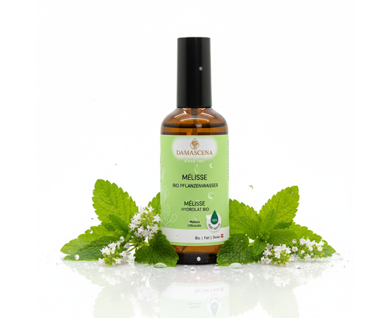 Melissenwasser BIO – Sanfte Balance für Körper, Geist & Seele
Das Melissenwasser BIO (Melissa officinalis) ist ein naturreines Hydrolat von höchster Qualität. Mit seinem sanft-zitronigen, krautigen Duft wird es in der Aromatherapie seit Jahrhunderten für seine beruhigende, klärende und herzerfrischende Wirkung geschätzt. Es unterstützt bei innerer Unruhe, bringt emotionale Ausgeglichenheit und schenkt Momente der Klarheit. Egal ob als Gesichtswasser, Raumspray oder in entspannenden Ritualen – dieses Pflanzenwasser ist ein vielseitiger Begleiter für Dein Wohlbefinden.

✅ 4 Schlüsselvorteile auf einen Blick
✔️ 100 % naturreines Bio-Hydrolat aus kontrolliert biologischem Anbau
✔️ Beruhigend & ausgleichend – ideal bei Stress, Nervosität und Schlafproblemen
✔️ Hautfreundlich & klärend – sanfte Pflege für empfindliche oder irritierte Haut
✔️ Vielseitig einsetzbar – als Gesichtswasser, Raumspray, für Rituale & Aromapflege