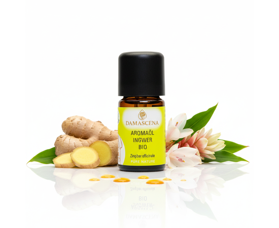 Ingwer BIO Aromaöl – Würzige Wärme & exotischer Genuss in jedem Tropfen
myaloe.ch

Das Ingwer BIO Aromaöl ist dein natürlicher Geschmacksverstärker, wenn du Speisen und Getränken eine angenehme, frische Schärfe verleihen möchtest – ohne Aufwand, ohne Schälen, ohne Stückchen.
Unser 100% naturreines Bio-Aromaöl aus Sri Lanka veredelt asiatische Gerichte, Desserts, Schokolade, Smoothies, Currys, Dressings und Heissgetränke mit einem wunderbar aromatischen, warm-würzigen Geschmacksprofil.

Bereits 1–4 Tropfen reichen, um deine Kreationen kulinarisch aufzuwerten – sauber, präzise, vegan und intensiv, ganz ohne Zusatzstoffe.

Ingwer BIO Aromaöl schenkt Dir Wärme, Energie und exotische Lebensfreude – egal ob in Deiner Küche oder als wärmender Duftmoment. Ein Tropfen genügt, um neue Kraft zu wecken, Kreativität zu entfachen und Genuss in Deinen Alltag zu bringen.