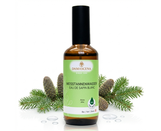 ✨ Traditionelle Anwendung in der Aromatherapie
Weisstanne wird in der Aromatherapie traditionell eingesetzt:

zur Klärung von Geist und Raum
bei mentaler Überlastung und Konzentrationsschwierigkeiten
zur Unterstützung von Regeneration und Erholung
in der Rekonvaleszenz zur Stärkung und Frische
zur energetischen Reinigung von Räumen
Als Hydrolat ist Weisstannenwasser besonders sanft und daher auch für sensible Personen geeignet.



✨ Anwendungen & Tipps
Raumspray / Raumluftklärung
Grosszügig im Raum versprühen – ideal für Arbeitsräume, Wartezonen oder Schlafzimmer.

Mentale Frische im Alltag
Bei Bedarf auf Gesicht oder Nacken sprühen, tief einatmen und neue Klarheit gewinnen.

Hautpflege
Als erfrischendes Gesichtswasser oder Körperspray nach dem Duschen anwenden.

Regenerationsritual
Nach einem langen Tag auf Schultern, Herzbereich oder Handgelenke sprühen.

Naturmoment für unterwegs
Perfekt für Reisen oder stressige Tage – ein Sprühstoss Waldfrische.

myaloe.ch

❤️ Kundenfeedback
„Ein Sprühstoss und ich fühle mich wie bei einem Spaziergang im Wald. Mein Kopf wird klar, die Räume wirken frischer und meine Haut liebt dieses Pflanzenwasser.“