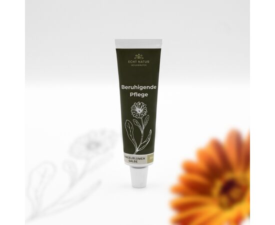 ✨ 4 Schlüsselvorteile der Ringelblumensalbe
✅ Beruhigt empfindliche & gereizte Haut
Lindert Rötungen, Spannungsgefühle und Hautirritationen auf natürliche Weise.

✅ Unterstützt Regeneration & Narbenpflege
Fördert die Hauterneuerung und eignet sich ideal zur Pflege von Narben und beanspruchter Haut.

✅ 100 % natürliche Pflanzenkraft
Mit Ringelblumenblüten, Olivenöl und Bienenwachs – ohne synthetische Zusätze.

✅ Für die ganze Familie geeignet
Sanft genug für Kinder, Erwachsene und ältere Menschen – für jedes Geschlecht.





☑️ Duftprofil & Duftwirkung
Duftprofil:
Mild, krautig-blumig, warm mit einer sanften Honignote

Duftwirkung emotional:
Der natürliche Duft der Ringelblume wirkt erdend, tröstend und beruhigend. Er vermittelt Geborgenheit, Sicherheit und ein Gefühl von natürlicher Fürsorge – ideal in Phasen von Stress oder körperlicher Belastung.

Duftwirkung körperlich:
Traditionell wird Ringelblume für ihre hautberuhigenden, entzündungshemmenden und regenerationsfördernden Eigenschaften geschätzt. Die enthaltenen Duftstoffe aus natürlichen Pflanzenextrakten unterstützen das Wohlbefinden sanft über die Haut.