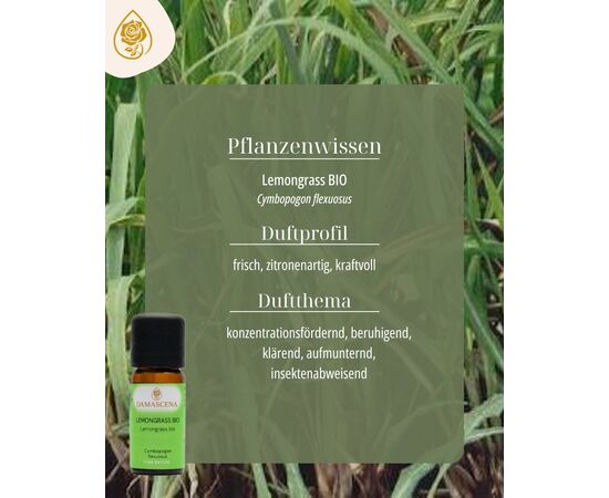 Zitronengras ( Cymbopogon flexuosus) stammt ursprünglich aus Südostasien und kann eine Wuchshöhe von über 1,5 m erreichen. In der thailändischen und indischen Küche wird es gerne zum Würzen von Speisen verwendet. Bereits seit dem 17. Jahrhundert ist Zitronengras bekannt. Damals wurde es auf den Philippinen angebaut.
In der ayurvedischen Medizin findet Zitronengras traditionell Anwendung bei Magenkrämpfen und Übelkeit. Äusserlich wird es bei Hexenschuss und rheumatischen Beschwerden eingesetzt. Als Tee zubereitet, wird Zitronengras zudem gerne zur inneren Reinigung und bei innerer Unruhe getrunken. Auch in der Volksmedizin ist es als natürlicher Fiebersenker bekannt.
Sein Duft ist spritzig, frisch und zitronenartig. In der Aromatherapie wird Zitronengras vor allem bei Kopfschmerzen, Gelenkschmerzen, ausserdem zur Fiebersenkung. Es soll düstere Gedanken vertreiben und negative Energien lösen.
In der Pflanzensignatur steht Zitronengras für Leichtigkeit, Flexibilität und geistige Klarheit.
Eigenschaften:
Körperlich: entzündungshemmend, antibakteriell, immunsystemausgleichend, schmerzlindernd
Psychisch: beruhigend, konzentrationsfördernd, erfrischend